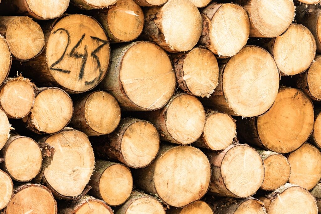 Photo Firewall logs
