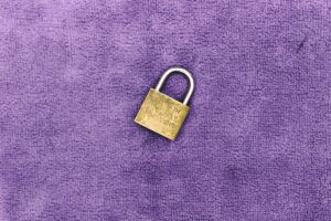 Photo "Cybersecurity Safeguards: Security Best Practices for SaaS Applications"