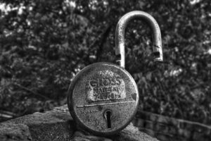 Photo Cybersecurity Safeguards: Cryptographic Algorithms and Cloud Security