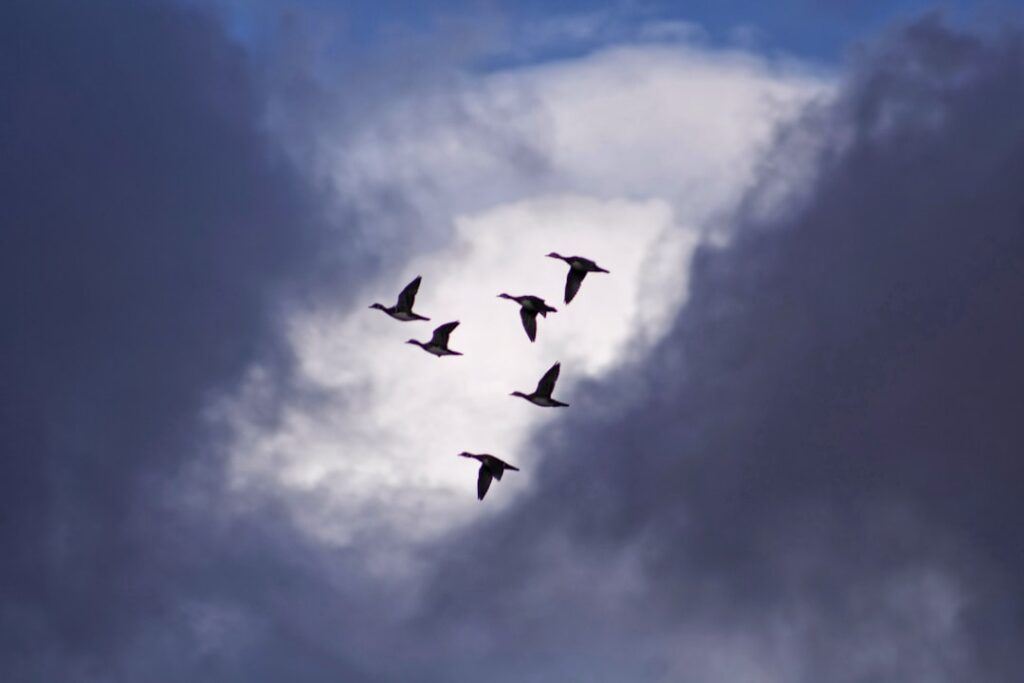Photo Cloud migration