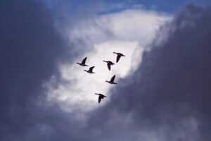 Photo Cloud migration