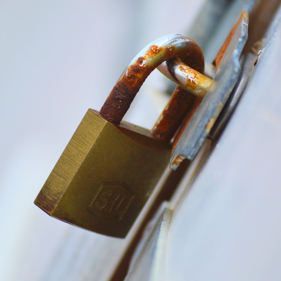 Photo Cybersecurity Safeguards: Data Classification for Cloud Security