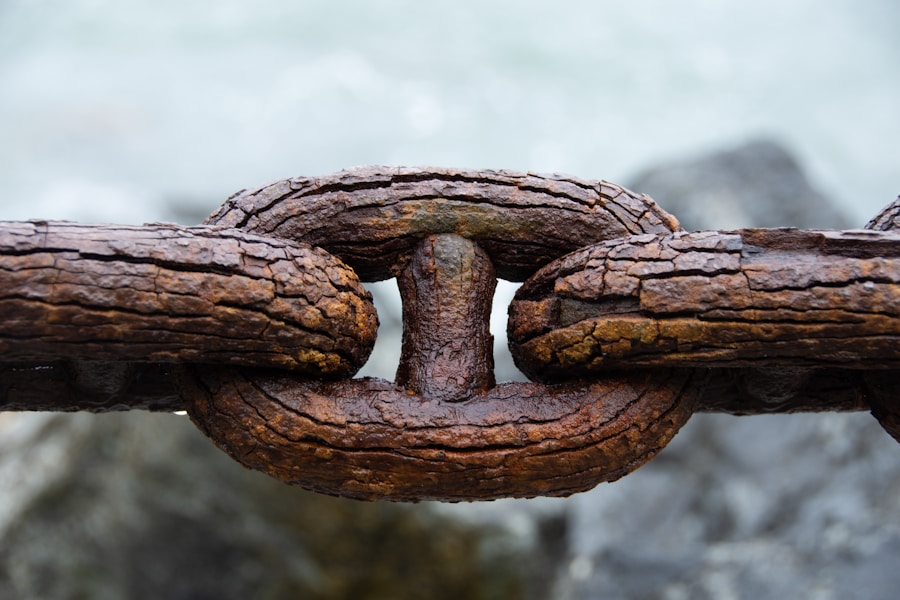Photo Cybersecurity Safeguards: Secure Software Development Lifecycle (SDLC)