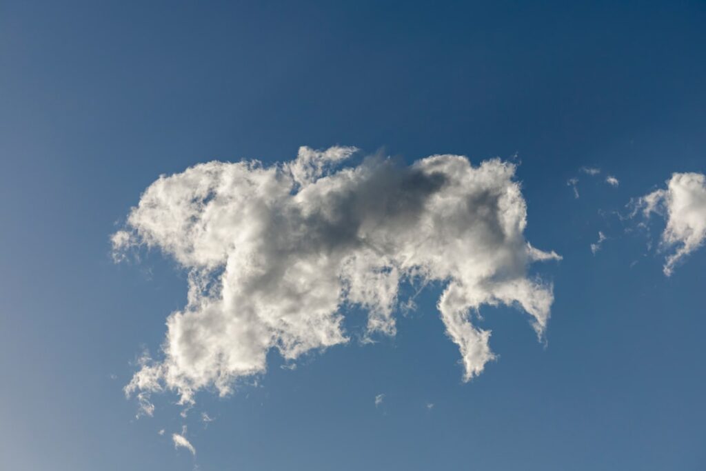 Photo Cloud Waste Reduction Strategies