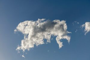 Photo Cloud Waste Reduction Strategies